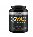 Bigjoy BigMass +Gh Factor Bisküvi